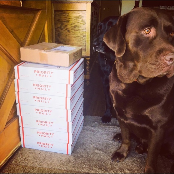 Farewell, Friends! - Picture 4 of 10